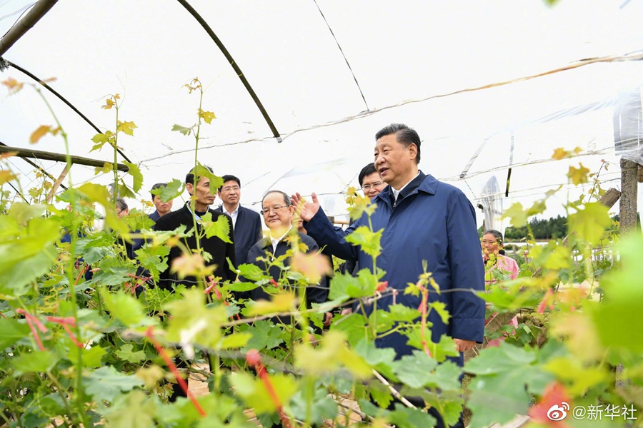 USDT数字钱包(中国区)官方网站